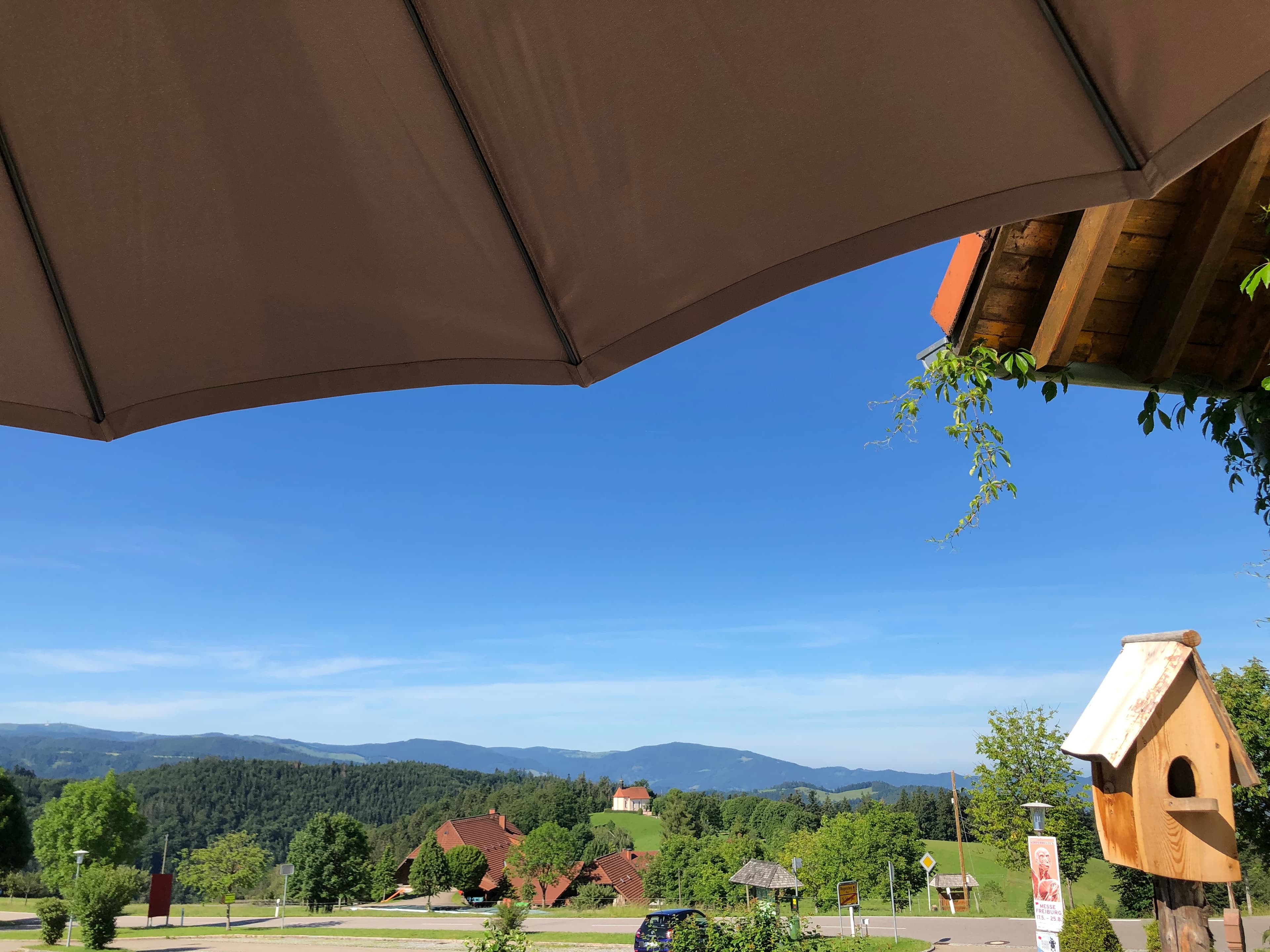 Panoramablick auf den Feldberg und den Schwarzwald von der Terrasse der Ferienwohnung